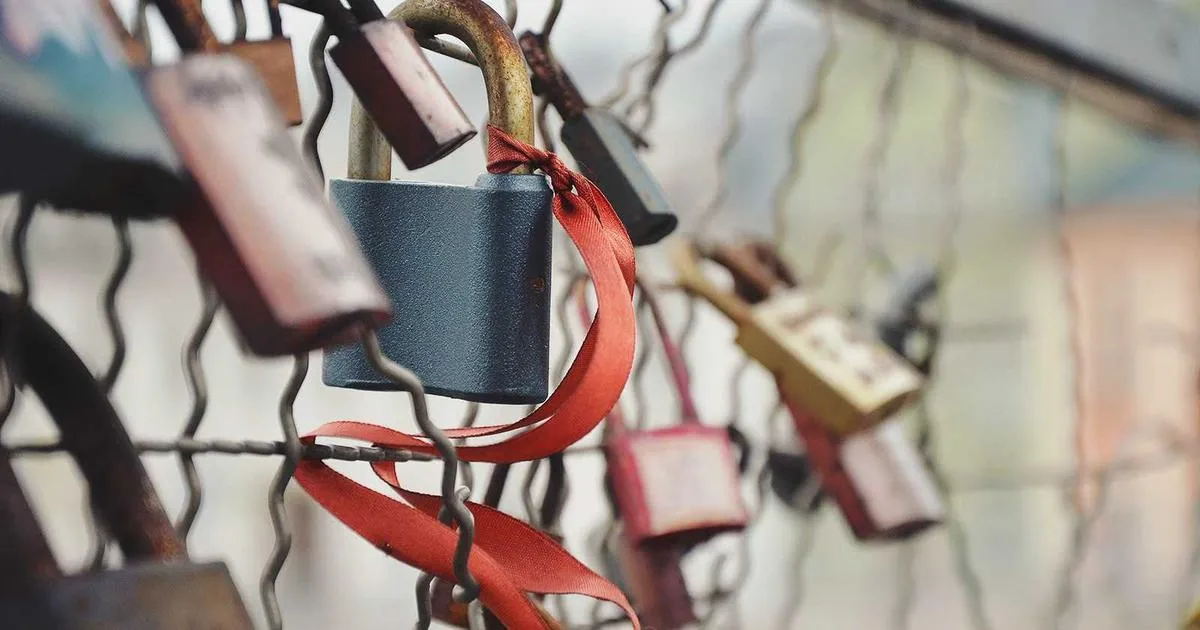 Février, moment clé : le geste ciblé qui métamorphose vos petits fruits en véritables stars de la fructification