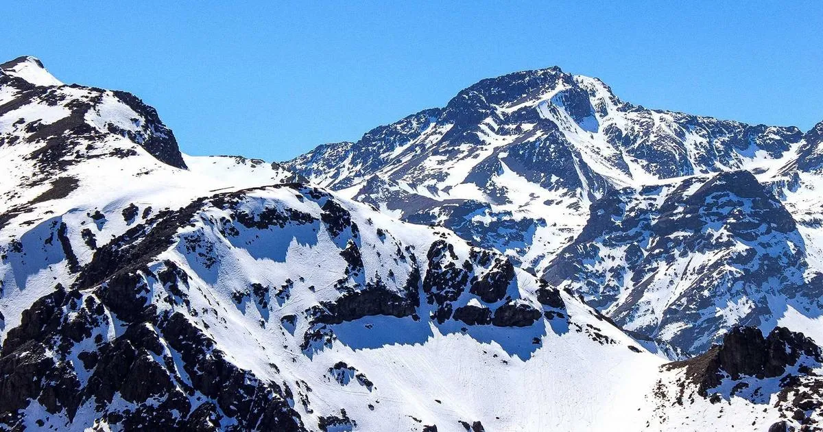 Intégrer les agrumes au compost hivernal : ce petit geste qui change tout