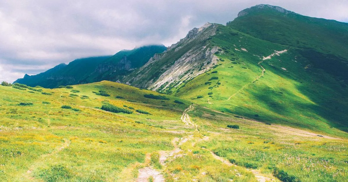 Un astuce de paysagiste pour sublimer vos massifs avec un simple tuyau